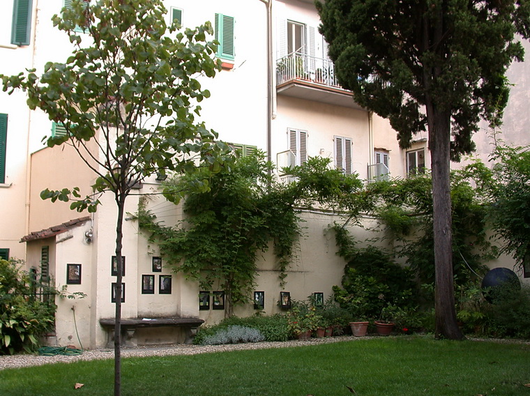 Mitologia e volti degli alberi